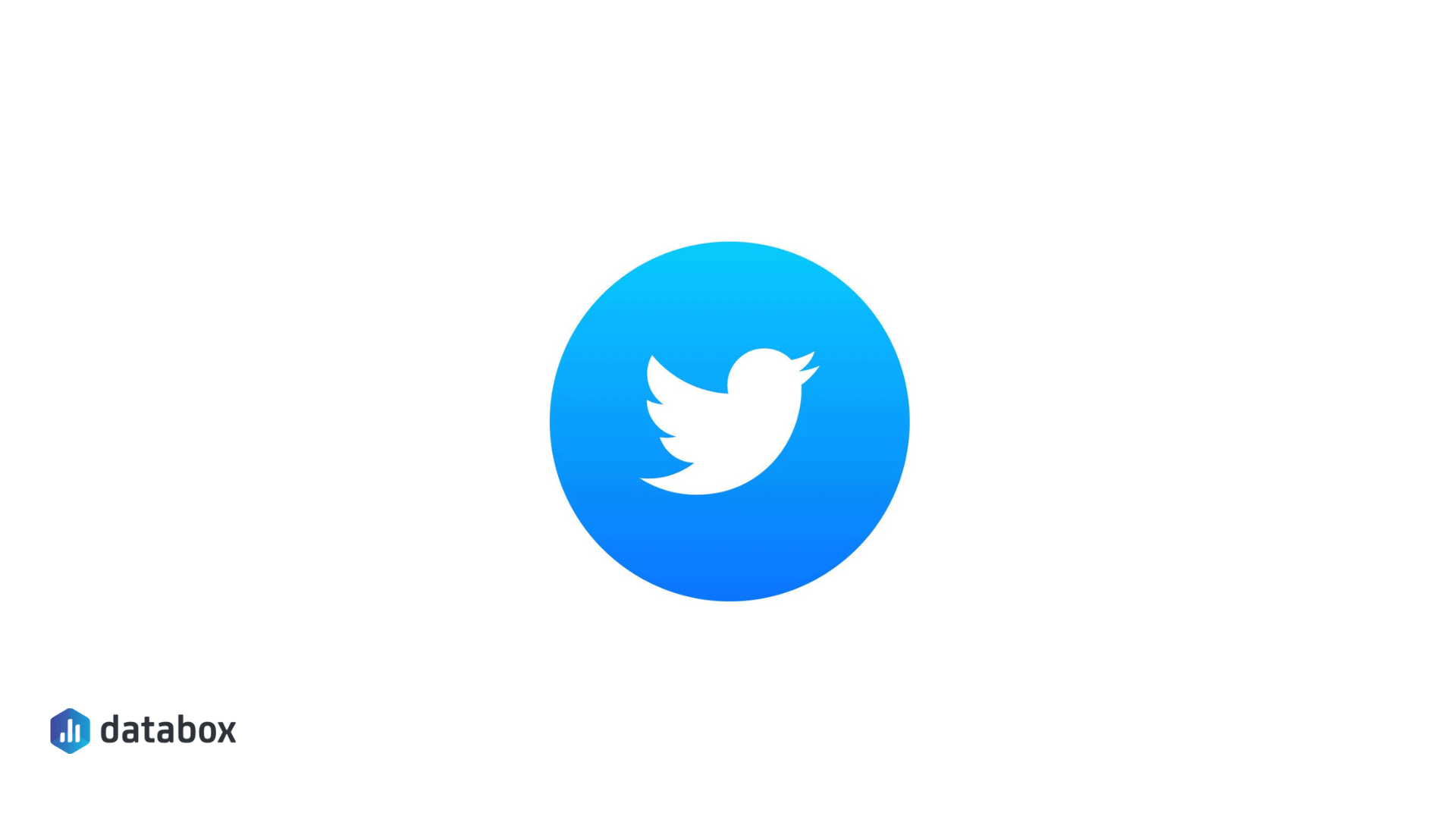 twitter logo icon