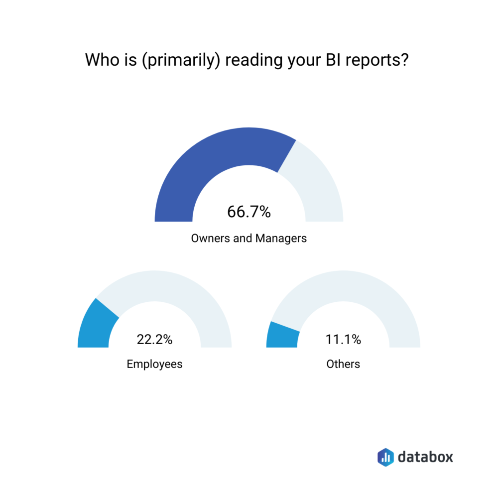 Who is primarily reading your BI reports?