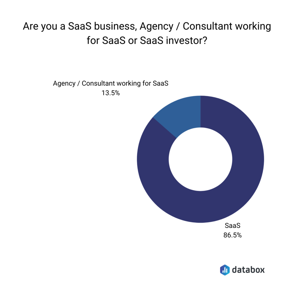 Databox survey respondents profile