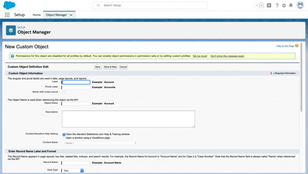 Creating a custom object for data storage in Salesforce