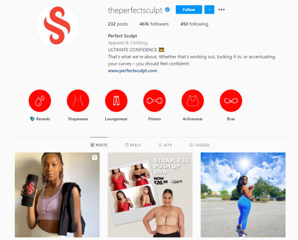 The Perfect Sculpt Instagram profile