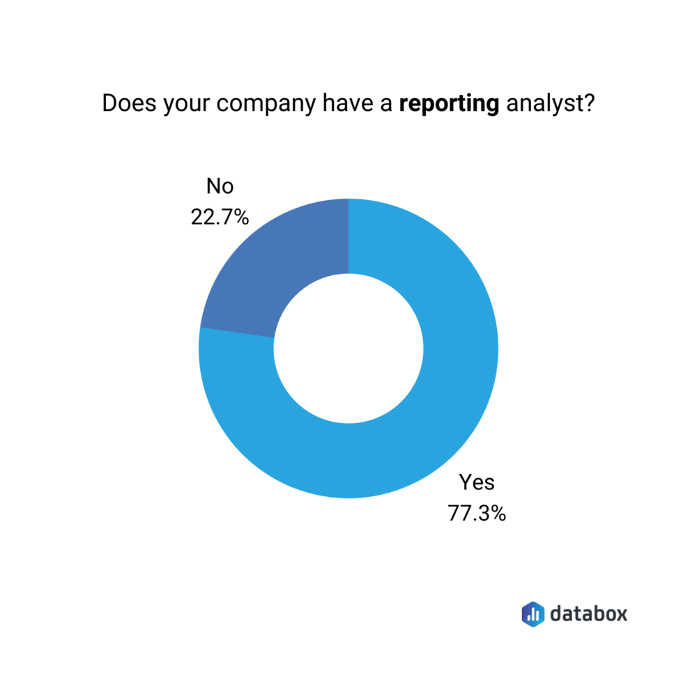 reporting analysists in SMBs