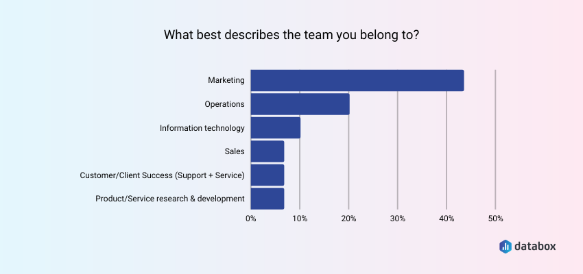 what best describes the team you belong to?