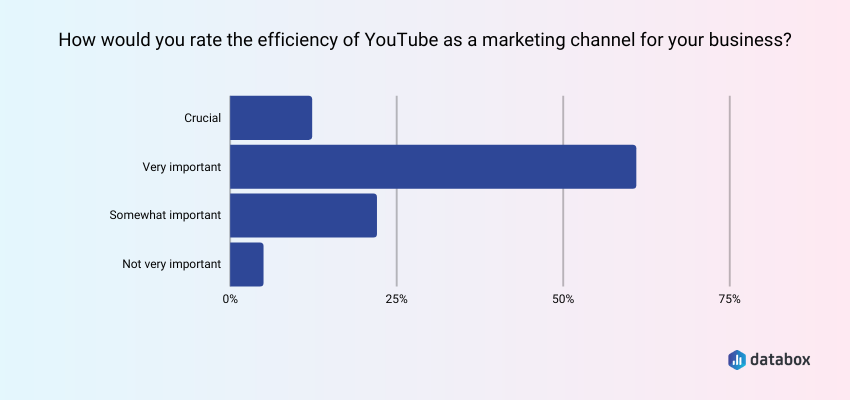 rating the efficiency of youtube as a marketing channel for a business