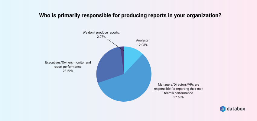 who is primarily responsible for creating data analysis reports in companies?