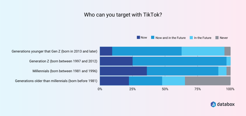 Who Companies Target with TikTok Ads?