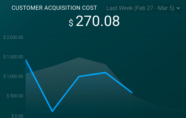 Customer Acquisition Cost (CAC)