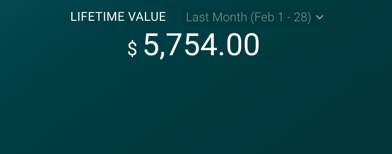 Customer Lifetime Value (LTV)