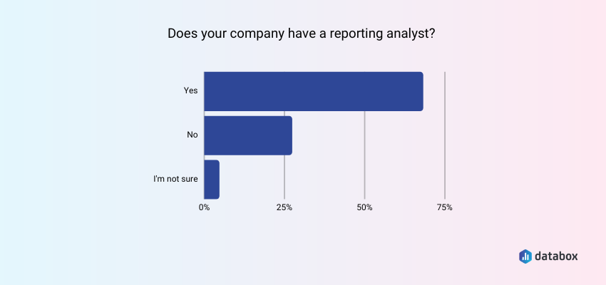 does you company have a reporting analyst?