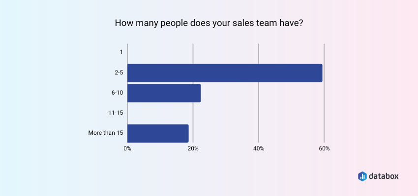 average sales team size