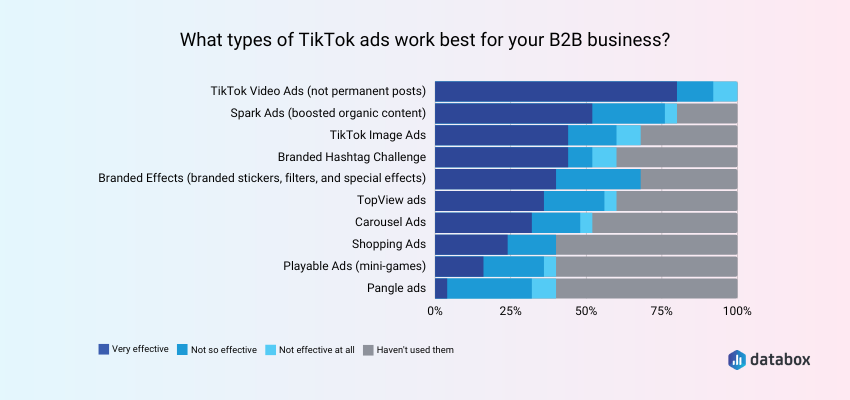 Types of TikTok Ads