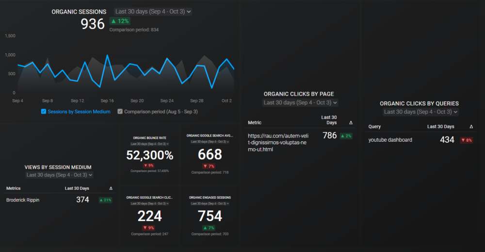 SEO Overview Dashboard 