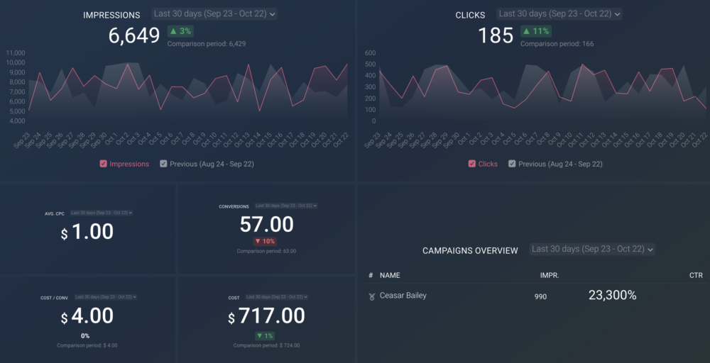 Google Ads dashboard template 