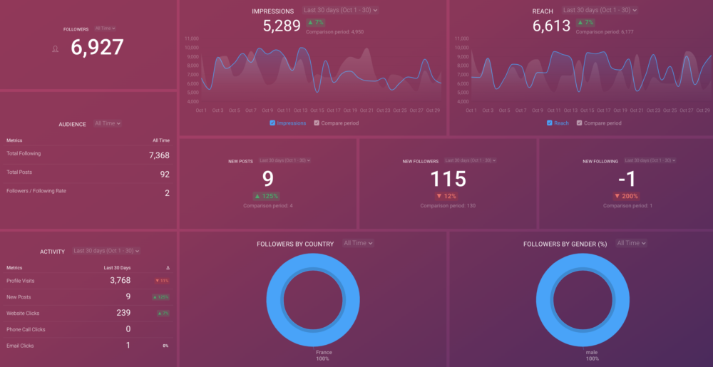  Instagram Business Account Overview dashboard template