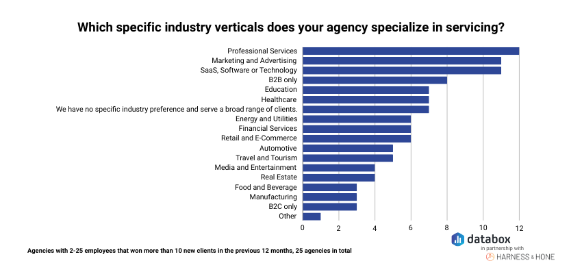 Which Industry Verticals agencies Specialize in Serving