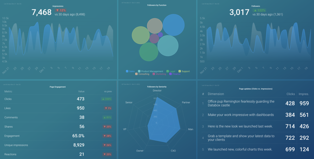 LinkedIn Company Page Engagement dashboard template