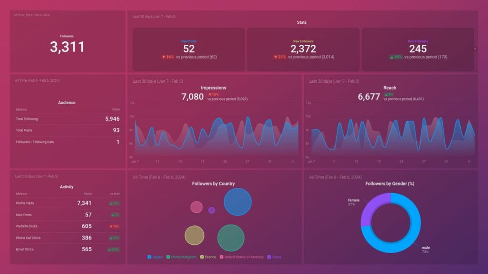 Instagram Business Account Overview dashboard