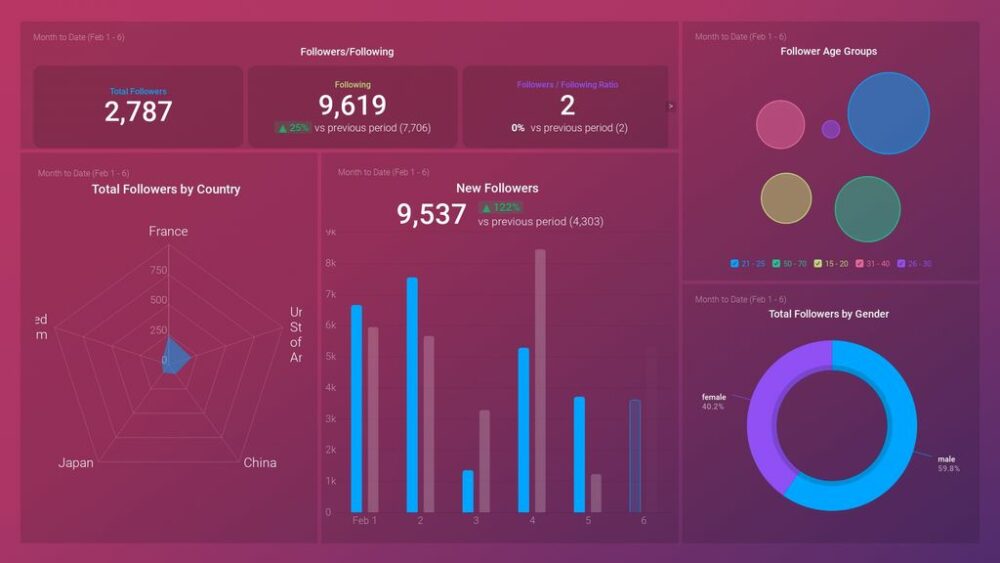 Instagram Business Audience Overview dashboard