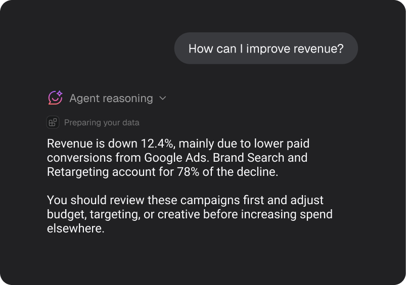 The AI Analyst explaining a revenue decline and recommending which campaigns to review